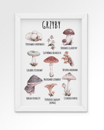 plakat-grzyby-na-sciane